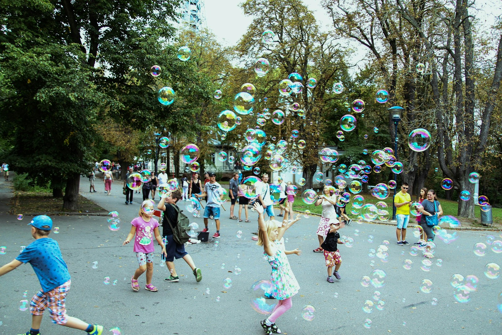 people walking on street during daytime