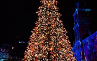 people walking on street near christmas tree with string lights during night time